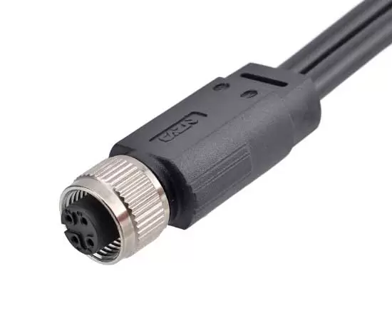 M12 Female 1 to 2 Overmolded Plug