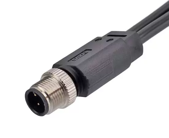 M12 Male 1 to 2 Overmolded Plug