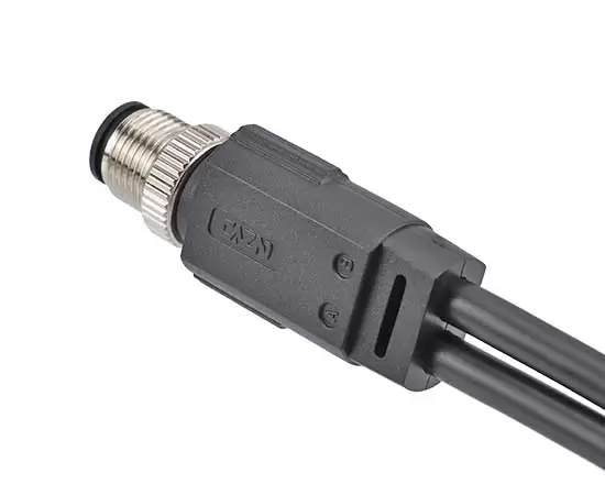 M12 Male 1 to 2 Overmolded Plug